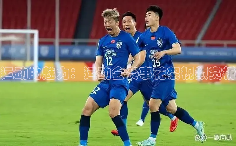 k1体育登录入口网页版