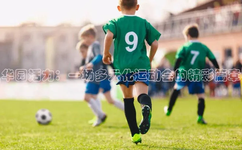 k1体育app登录平台在线