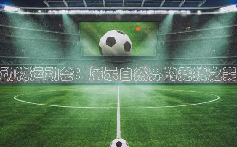 k1体育在线网站