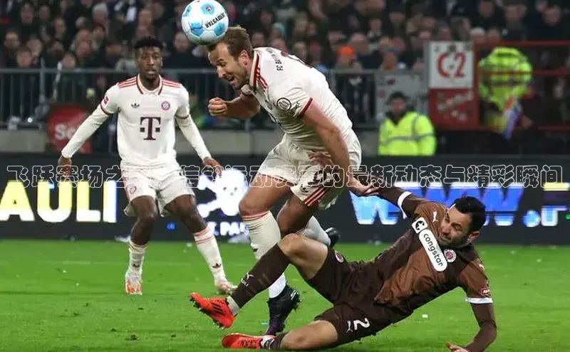 k1体育网站登陆官网