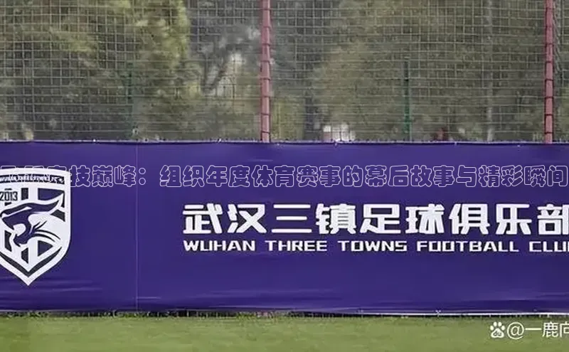 飞跃竞技巅峰：组织年度体育赛事的幕后故事与精彩瞬间