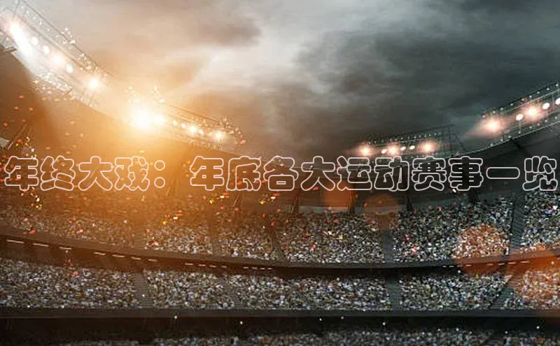 k1体育登录入口网页版