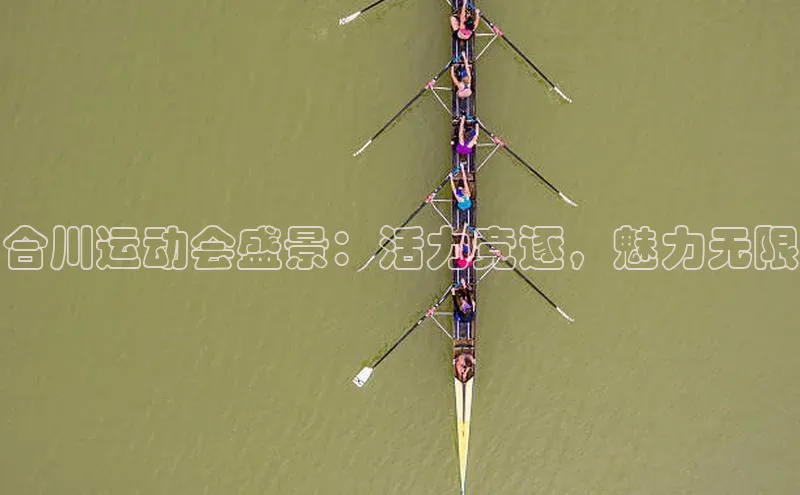 k1体育娱乐平台下载官网